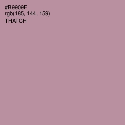 #B9909F - Thatch Color Image