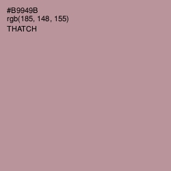 #B9949B - Thatch Color Image