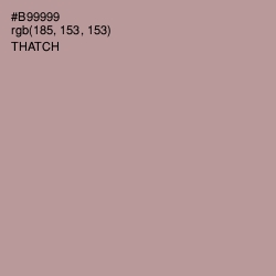 #B99999 - Thatch Color Image