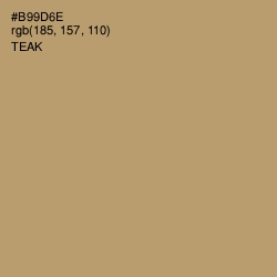 #B99D6E - Teak Color Image