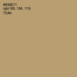 #B99E71 - Teak Color Image