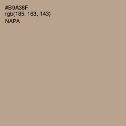 #B9A38F - Napa Color Image