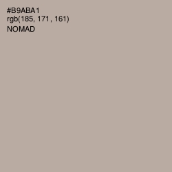 #B9ABA1 - Nomad Color Image