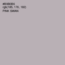 #B9B0B6 - Pink Swan Color Image