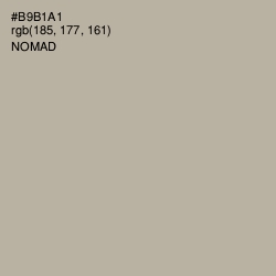 #B9B1A1 - Nomad Color Image