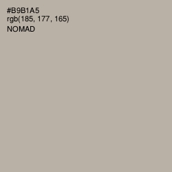 #B9B1A5 - Nomad Color Image