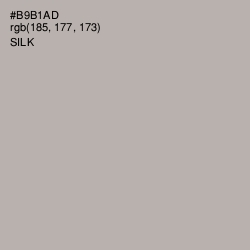 #B9B1AD - Silk Color Image