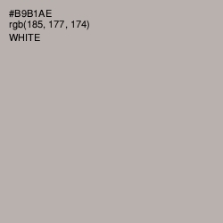 #B9B1AE - Silk Color Image