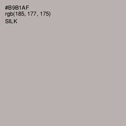 #B9B1AF - Silk Color Image