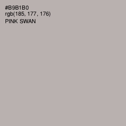 #B9B1B0 - Pink Swan Color Image