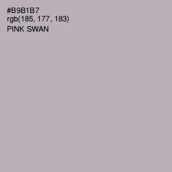 #B9B1B7 - Pink Swan Color Image