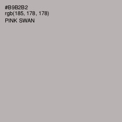 #B9B2B2 - Pink Swan Color Image