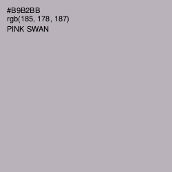 #B9B2BB - Pink Swan Color Image