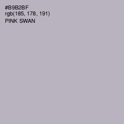 #B9B2BF - Pink Swan Color Image