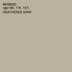 #B9B39D - Heathered Gray Color Image
