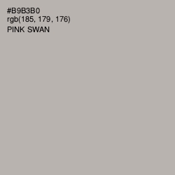 #B9B3B0 - Pink Swan Color Image