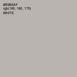 #B9B4AF - Silk Color Image