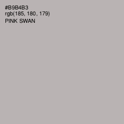 #B9B4B3 - Pink Swan Color Image