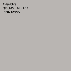 #B9B5B3 - Pink Swan Color Image