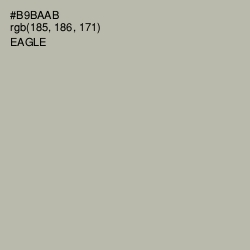 #B9BAAB - Eagle Color Image