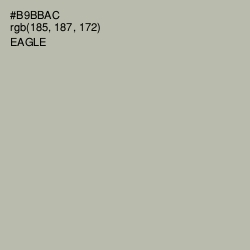 #B9BBAC - Eagle Color Image