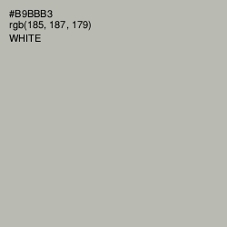 #B9BBB3 - Tide Color Image