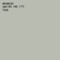 #B9BCB1 - Tide Color Image