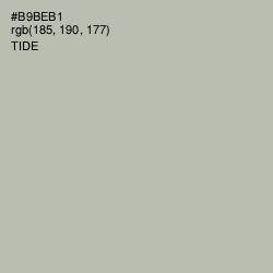 #B9BEB1 - Tide Color Image