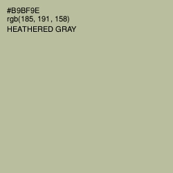 #B9BF9E - Heathered Gray Color Image
