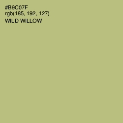 #B9C07F - Wild Willow Color Image