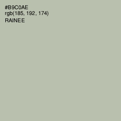 #B9C0AE - Rainee Color Image