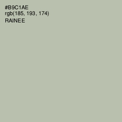 #B9C1AE - Rainee Color Image