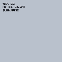 #B9C1CC - Submarine Color Image