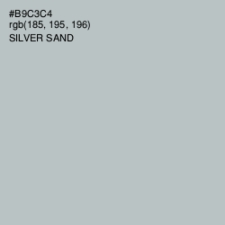 #B9C3C4 - Silver Sand Color Image