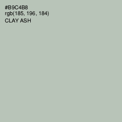 #B9C4B8 - Clay Ash Color Image