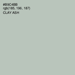 #B9C4BB - Clay Ash Color Image