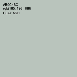 #B9C4BC - Clay Ash Color Image