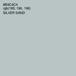 #B9C4C4 - Silver Sand Color Image