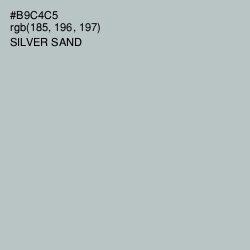 #B9C4C5 - Silver Sand Color Image