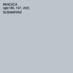 #B9C5CA - Submarine Color Image