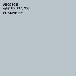 #B9C5CB - Submarine Color Image