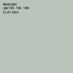 #B9C6BC - Clay Ash Color Image