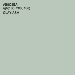 #B9C8BA - Clay Ash Color Image