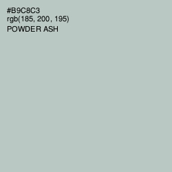 #B9C8C3 - Powder Ash Color Image