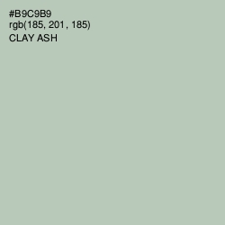 #B9C9B9 - Clay Ash Color Image