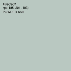 #B9C9C1 - Powder Ash Color Image