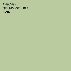 #B9CB9F - Rainee Color Image