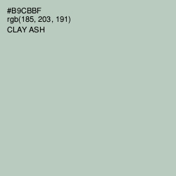 #B9CBBF - Clay Ash Color Image