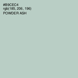 #B9CEC4 - Powder Ash Color Image