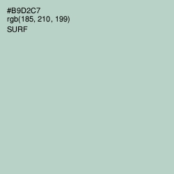 #B9D2C7 - Surf Color Image